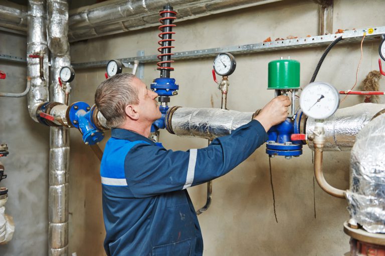 kub backflow testing